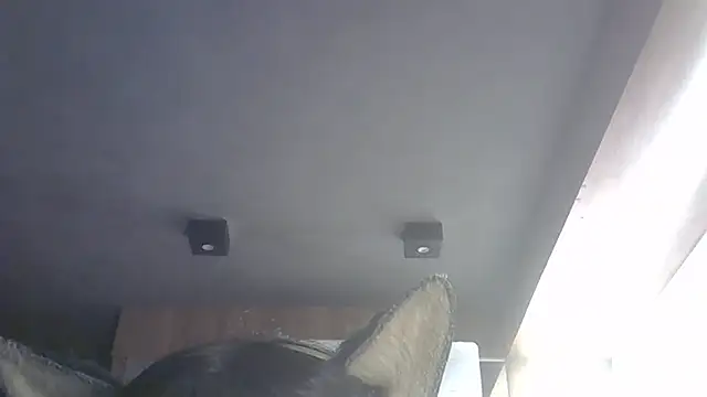 Skinny-Kitten online show from July 28, 3:21 pm