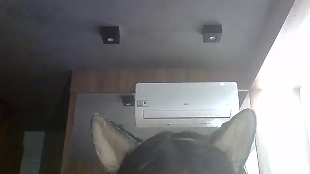 Skinny-Kitten online show from June 27, 1:28 pm