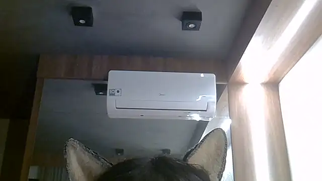 Skinny-Kitten online show from July 25, 4:19 am