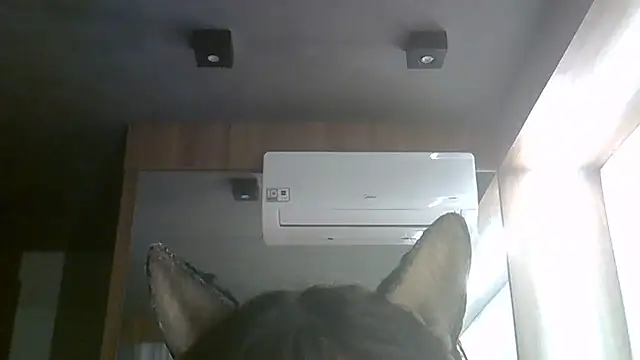 Skinny-Kitten online show from June 28, 1:28 pm