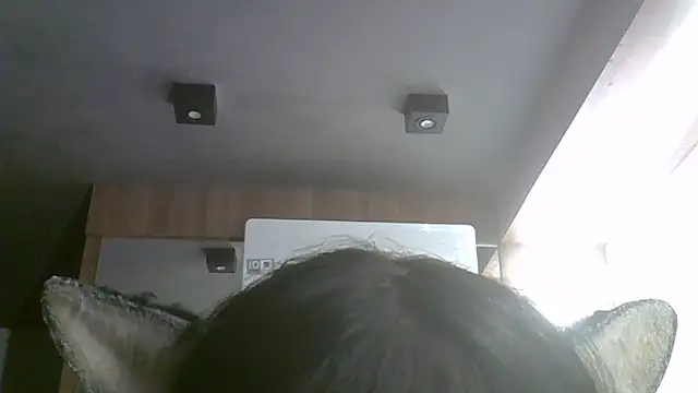 Skinny-Kitten online show from July 8, 9:33 am