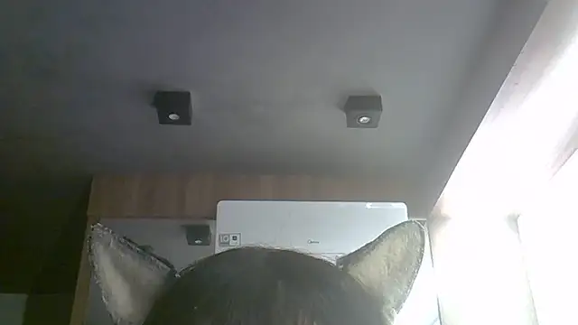 Skinny-Kitten online show from July 9, 9:33 am