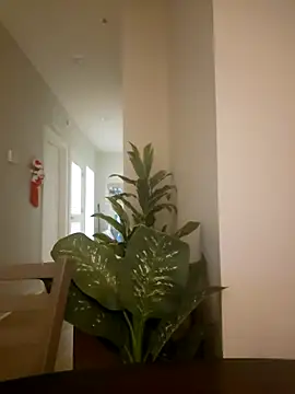 lofibunni online show from March 18, 6:35 pm