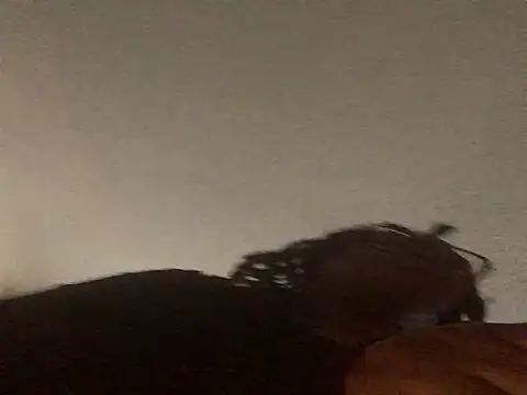 SweetHoneyBunz online show from November 4, 9:53 pm